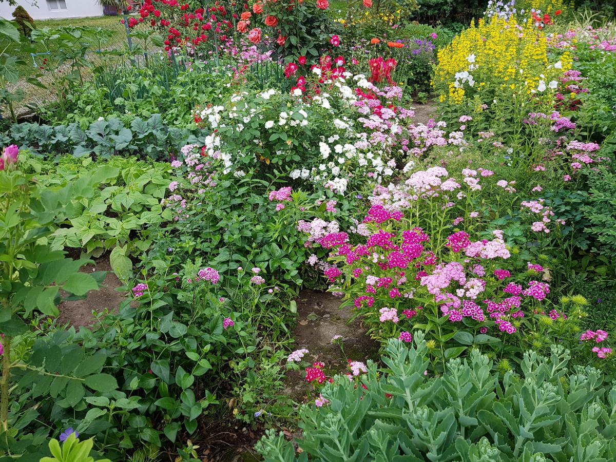 Bauerngarten mit Blumenreichtum
