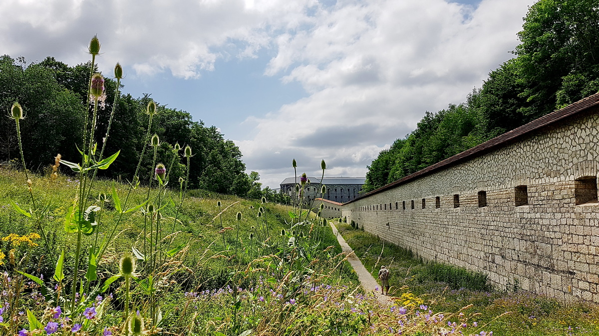 Schmetterlings-Pfad auf die Wilhelmsfeste in Ulm Schmetterlings-Pfad auf die Wilhelmsfeste in Ulm
