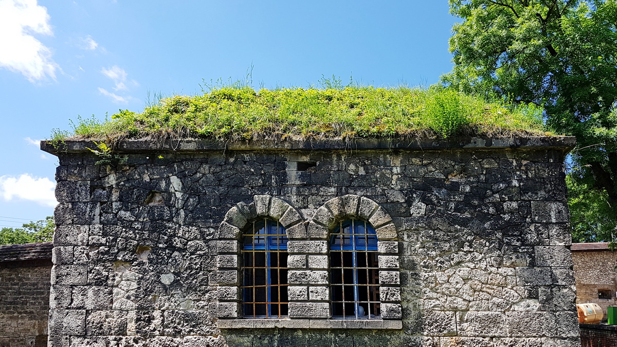 Schmetterlings-Pfad auf die Wilhelmsfeste in Ulm Schmetterlings-Pfad auf die Wilhelmsfeste in Ulm