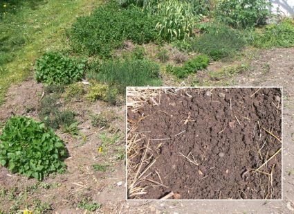 Biogarten Biogemüse Bio-Kräuter Mulchgarten Biogarten Biogemüse Bio-Kräuter Mulchgarten