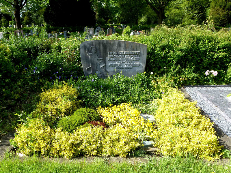 Immergrüne Zwerggehölze zur Grabgestaltung