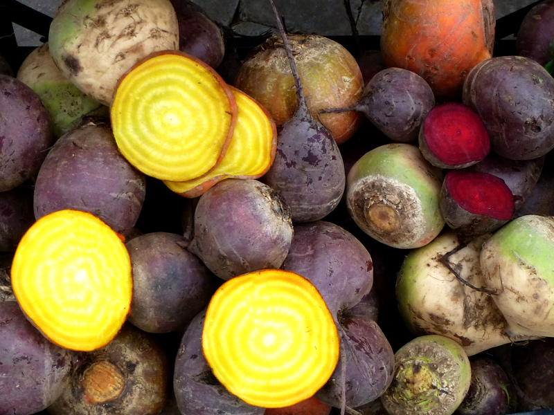 Bunte Rote Bete alte Sorten