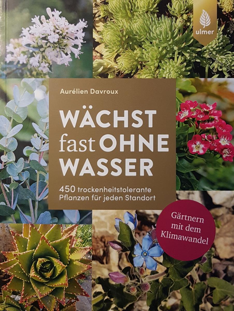 Wächst fast ohne Wasser von Aurelien Davroux